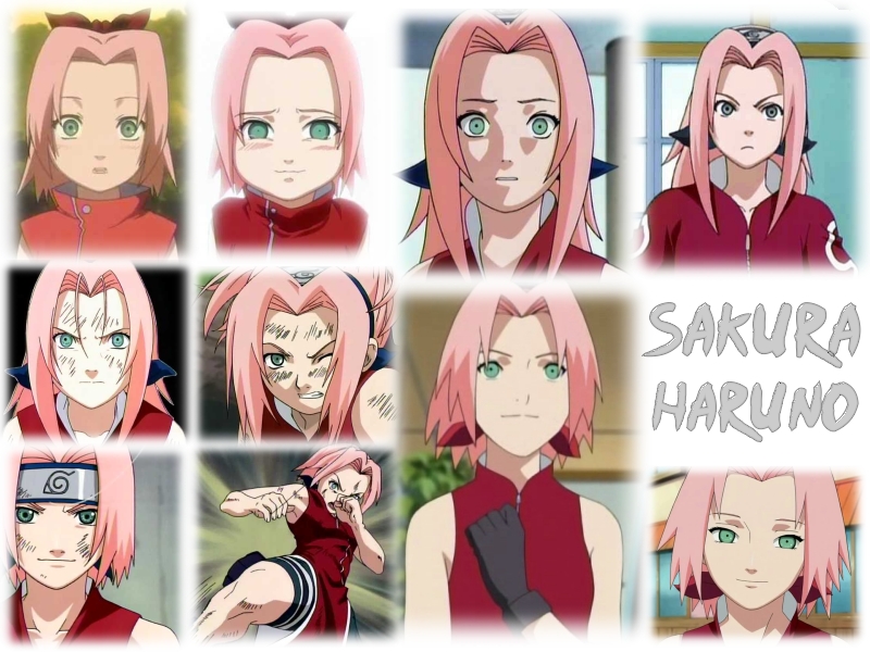 sakuraua4.jpg